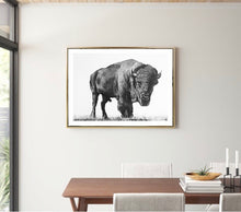 Load image into Gallery viewer, Black and White Buffalo Print!