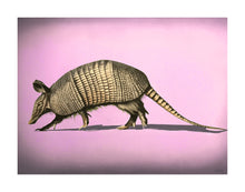 Load image into Gallery viewer, Pinkadillo Print!