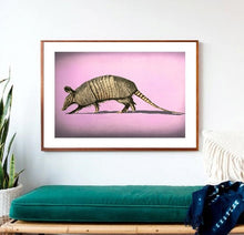 Load image into Gallery viewer, Pinkadillo Print!