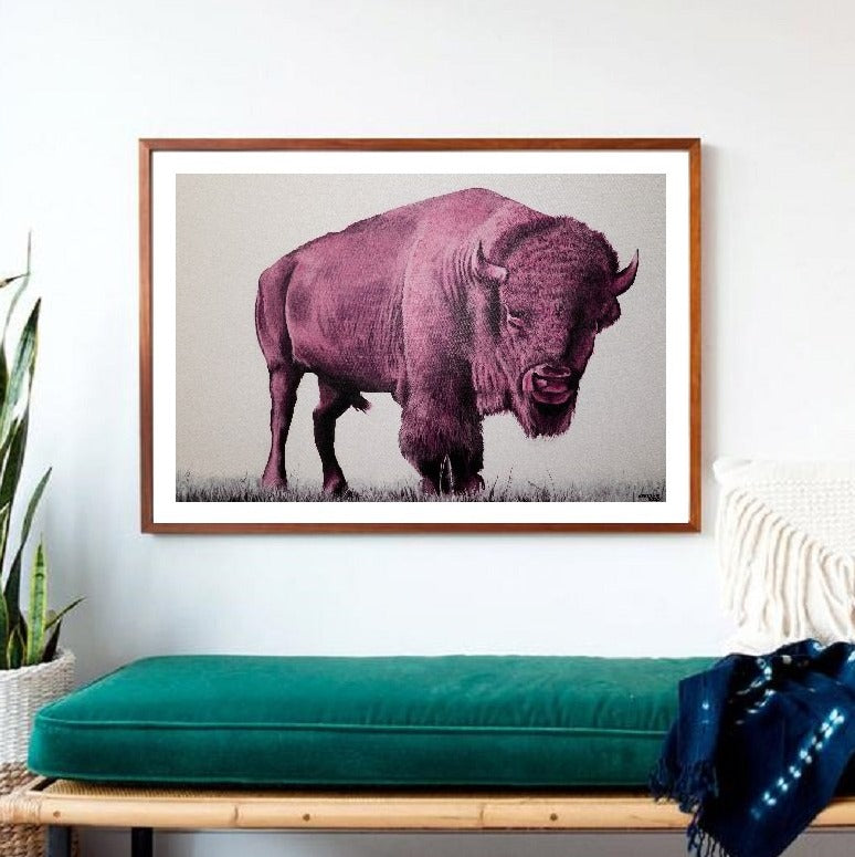 David Pink Art Grizzle Print! Buffalo –