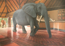 Load image into Gallery viewer, Wonky Tusk Print!