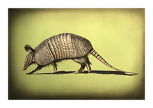 Load image into Gallery viewer, Armintdillo Print!
