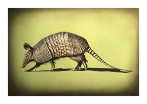 Armintdillo Print!