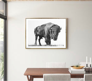 Black and White Buffalo Print!
