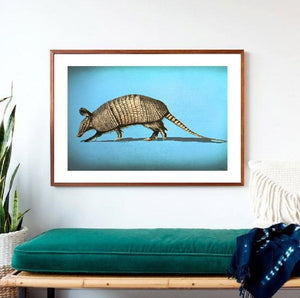 Bluedillo Print!