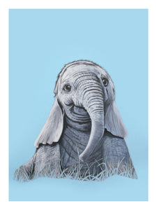 Blue Elephant Print!