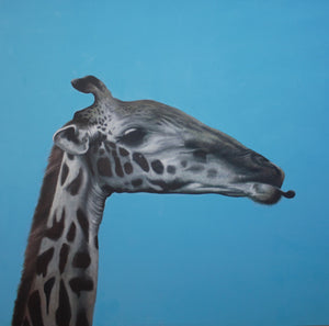 Blue Giraffe Print!