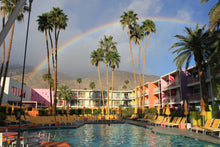 Load image into Gallery viewer, Palm Springs Rainbow Print!

