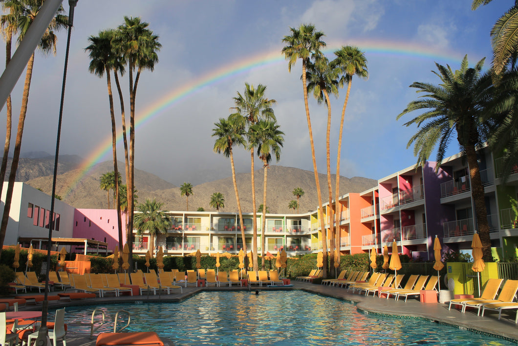 Palm Springs Rainbow Print!