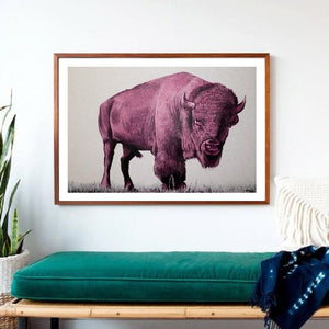 Pink Buffalo Print!