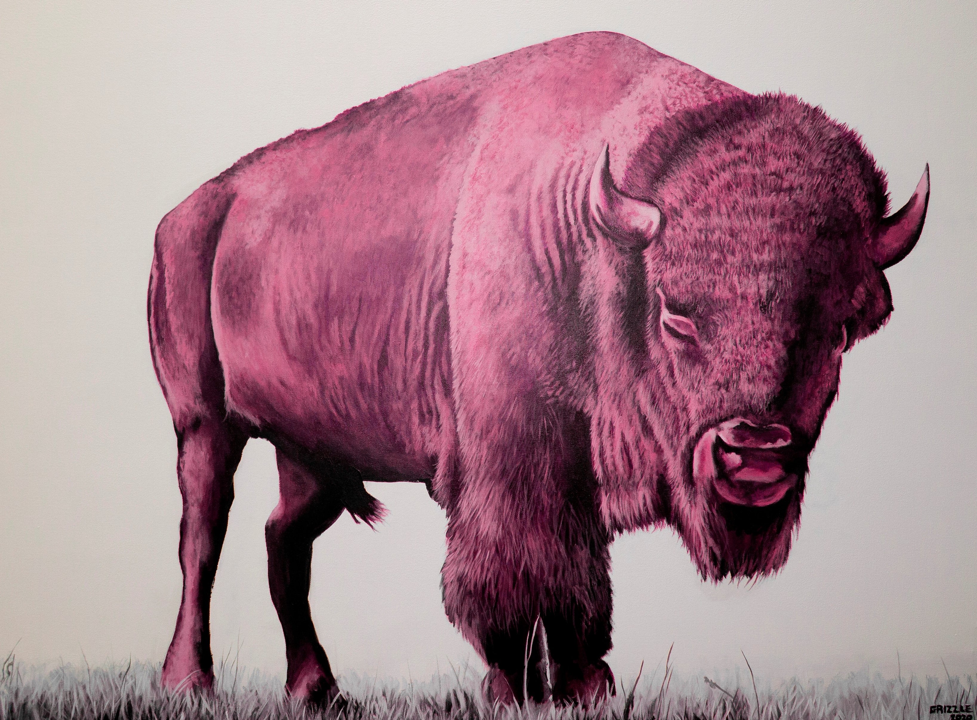 Buffalo David Pink Art Grizzle Print! –