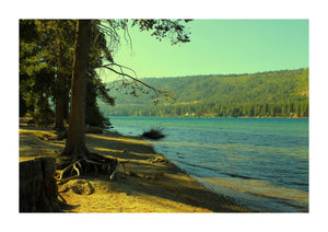 Truckee, Ca. Print!
