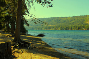 Truckee, Ca. Print!